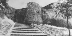 (10) Puertas y Arcos de la Ciudad de Burgos